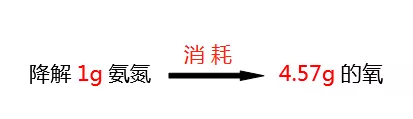 氨氮降解所需氧的比值_j9.com环保