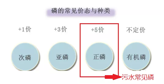 磷的价态_j9.com环保